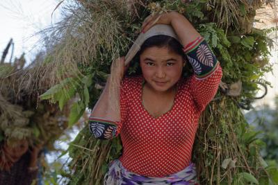 Portrait of a young woman carrying branches on her back in Chautera, area heavily affected by the 2015 earthquake. (Sindhupalchock District, Nepal)