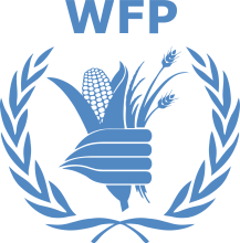 Logo of the World Food Programme