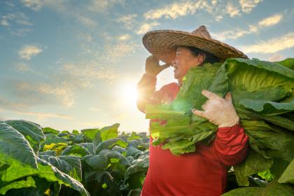 Future-ready economies Happy looking woman in a field in Asia